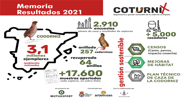 La población de codorniz en España mantiene un estado de conservación favorable con 3,1 millones de ejemplares