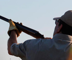 Inicia la cacería de paloma ala blanca - Tamaulipas (México)