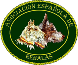 La Asociación Española de Rehalas (AER) recurre el Plan de Caza de Aragón
