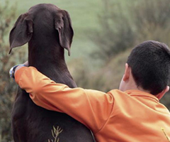 La RFEC señala que la Fundación Affinity vuelve a desarticular las mentiras animalistas sobre el abandono de perros de caza