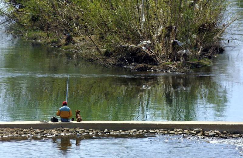 El Bernesga será coto urbano de pesca sin muerte a su paso por la ciudad