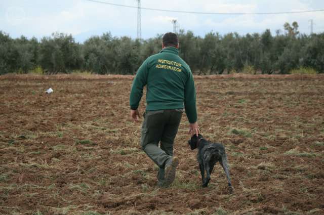 La RFEC logra que las armas detonadoras se puedan seguir utilizando para el adiestramiento canino