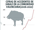 Los jabalíes provocan 993 accidentes de tráfico en la Comunidad Valenciana