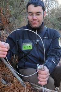 Decomisan 15 trampas ilegales para pescar anguilas en el Ebro