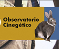 Más de cien cazadores participan en los censos de conejo, liebre y depredadores del Observatorio Cinegético