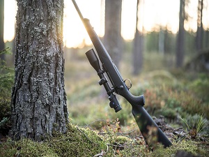 Aclaraciones a la adquisición y tenencia de armas de fuego para la práctica de la caza o del tiro deportivo