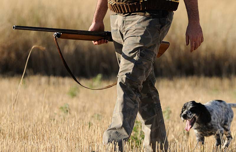 La caza en España genera 3.600 millones de euros y 54.000 empleos