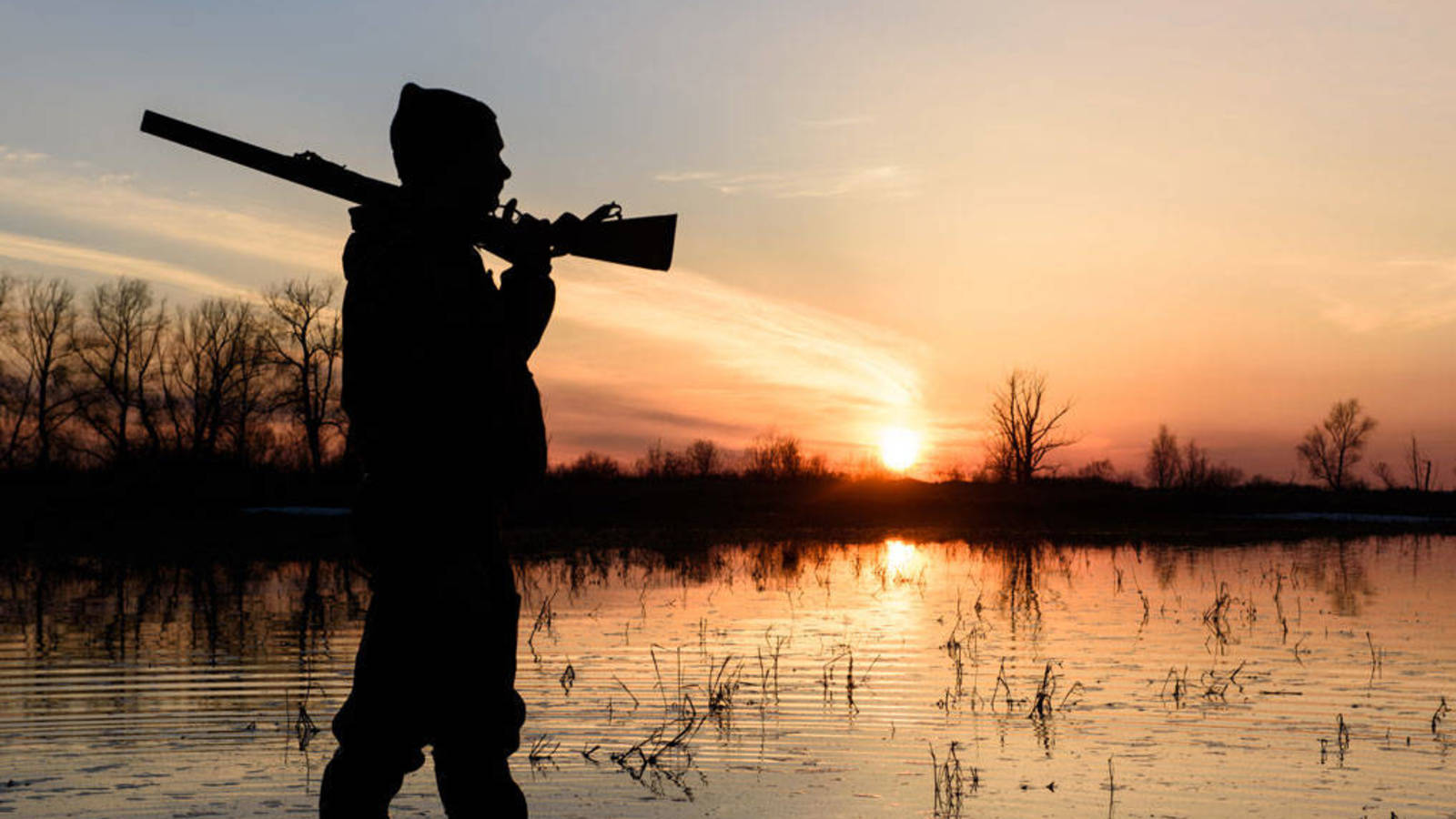 El Gobierno de España apoya un reglamento presentado por la CE que anula la presunción de inocencia de los cazadores