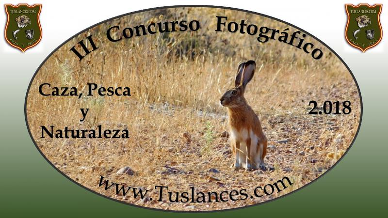 III Concurso fotográfico Tuslances.com