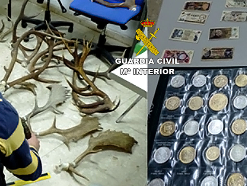 Dos detenidos por robar trofeos de caza por valor de 30.000 euros