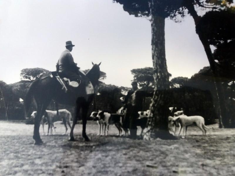 Rehala Manuel Puig década 1940. Doñana